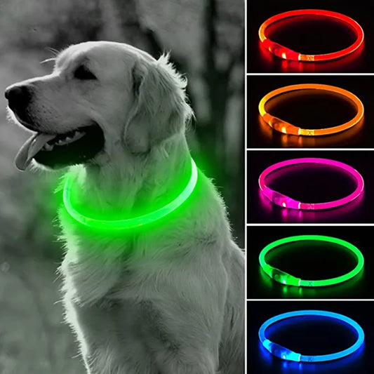 Leuchtendes Hundehalsband mit USB-Ladefunktion