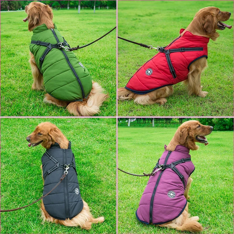 Wasserdichte Hundejacke - Geschirr für kleine und große Hunde