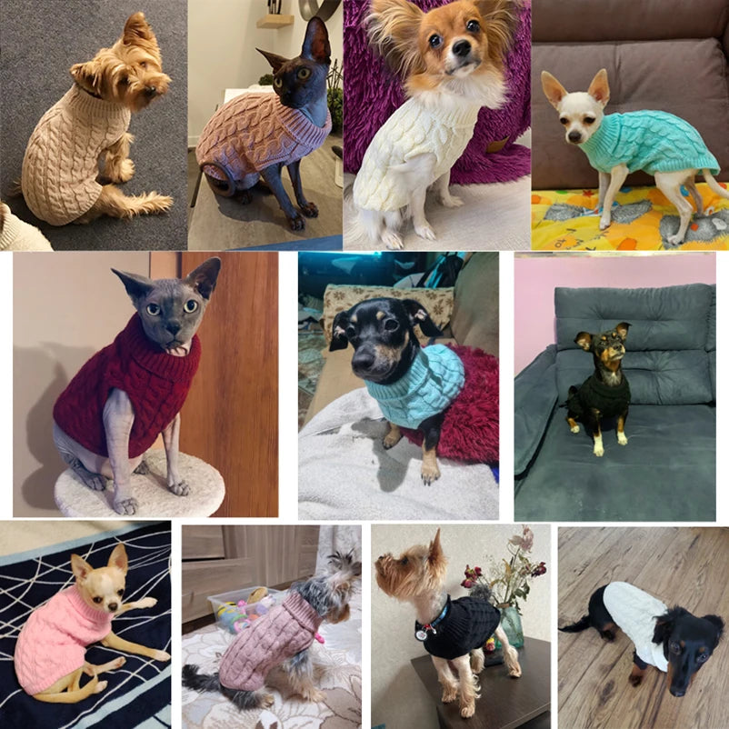 Welpen-Hundepullover für kleine bis mittelgroße Hunde Kleidung Winter Warme Haustier Rollkragen Chihuahua Weste Weiche Mantel Teddy Jacke