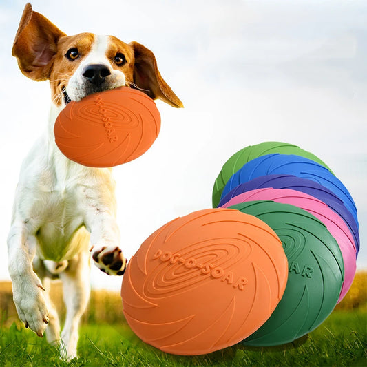 Hunde Frisbee - Robust / Sprapazierfähig