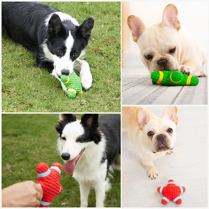 Gummiball Hundespielzeug