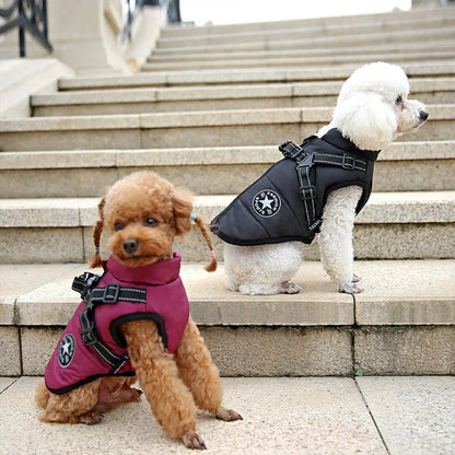 Wasserdichte Hundejacke - Geschirr für kleine und große Hunde