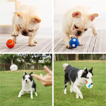 Gummiball Hundespielzeug