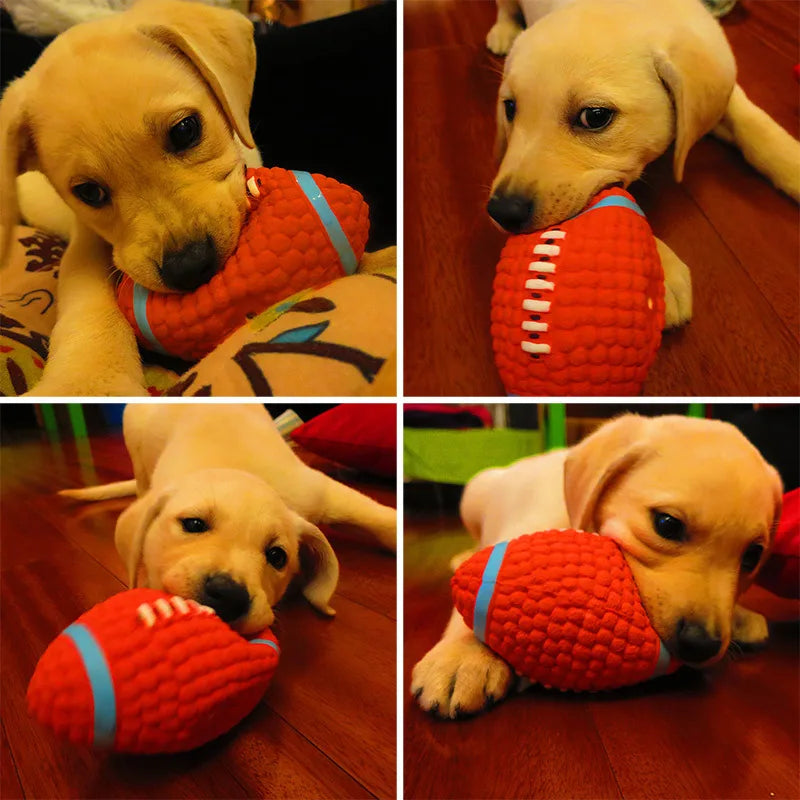 Gummiball Hundespielzeug