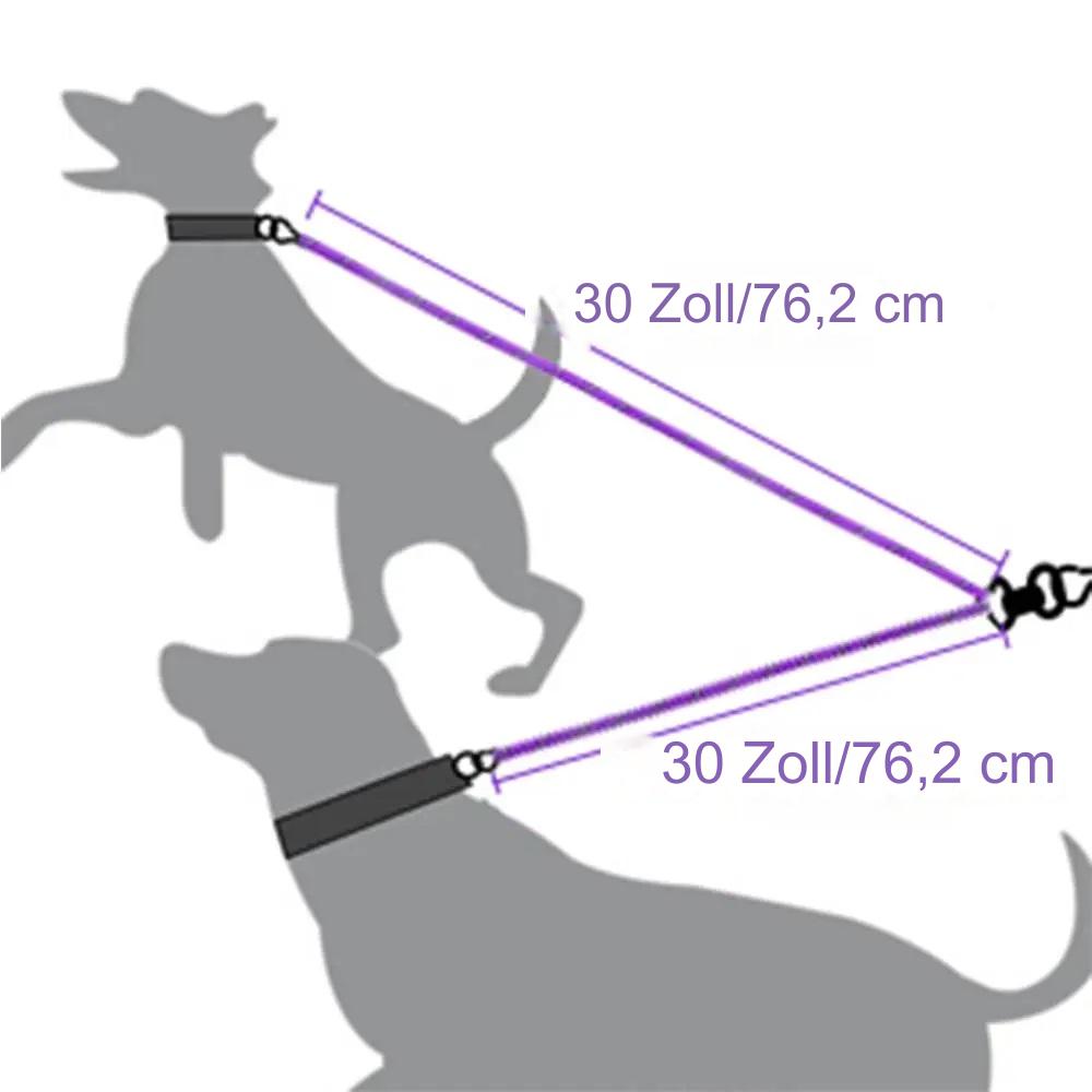 Doppelleine für 2 Hunde - Sicher und langlebig